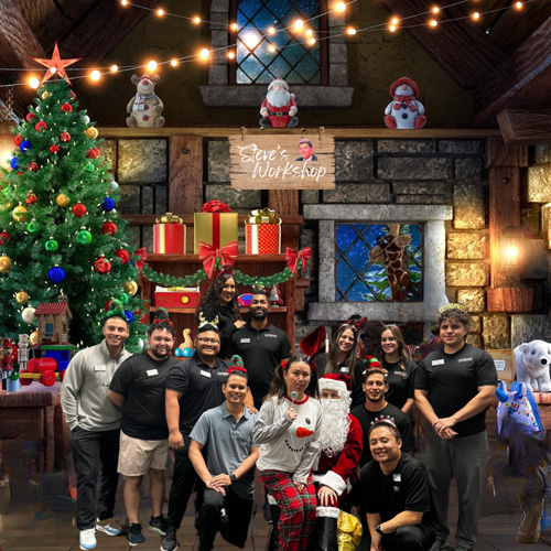 2025: A Year in Review